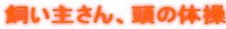 �����傳��A���̑̑� 