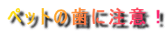 �y�b�g�̎��ɒ��ӁI
