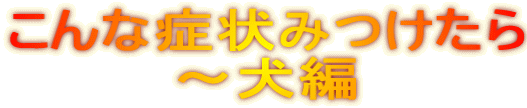 こんな症状みつけたら 〜犬編