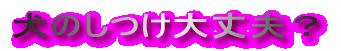 犬のしつけ大丈夫?