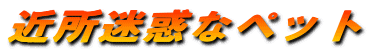 �ߏ����f�ȃy�b�g
