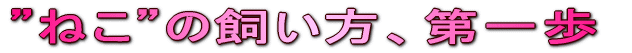 �h�˂��h�̎������A���� 